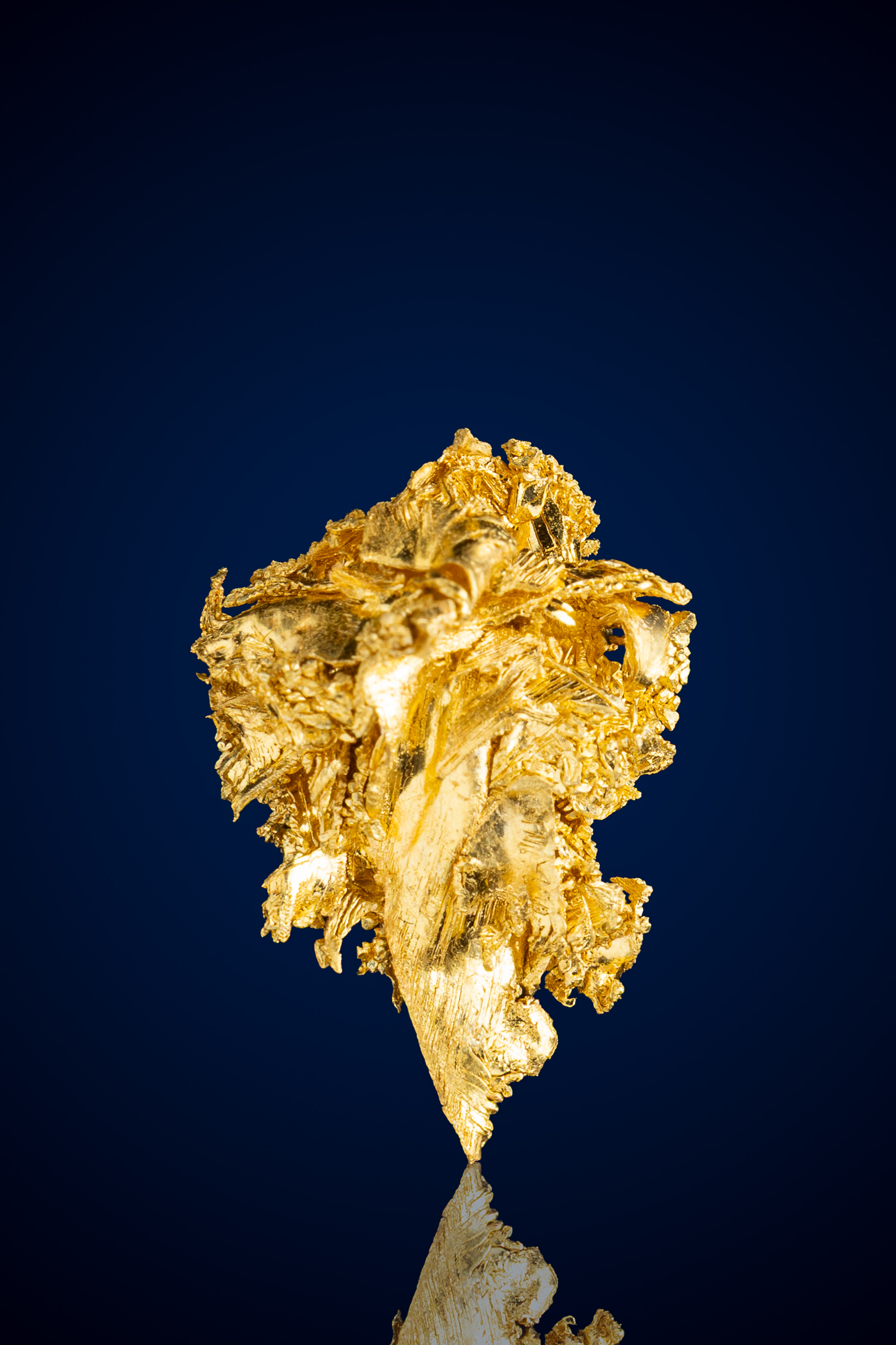 Intricate, Luxurious Crystallized Gold Nugget - Round Mountain, NV - 3.84 grams (image for) Intricate, Luxurious Crystallized Gold Nugget - Round Mountain, NV - 3.84 grams